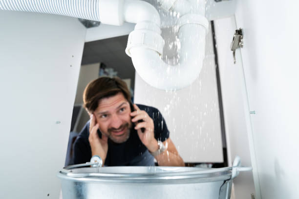 Best 24-Hour Plumber Near Me  in South Brooksville, FL